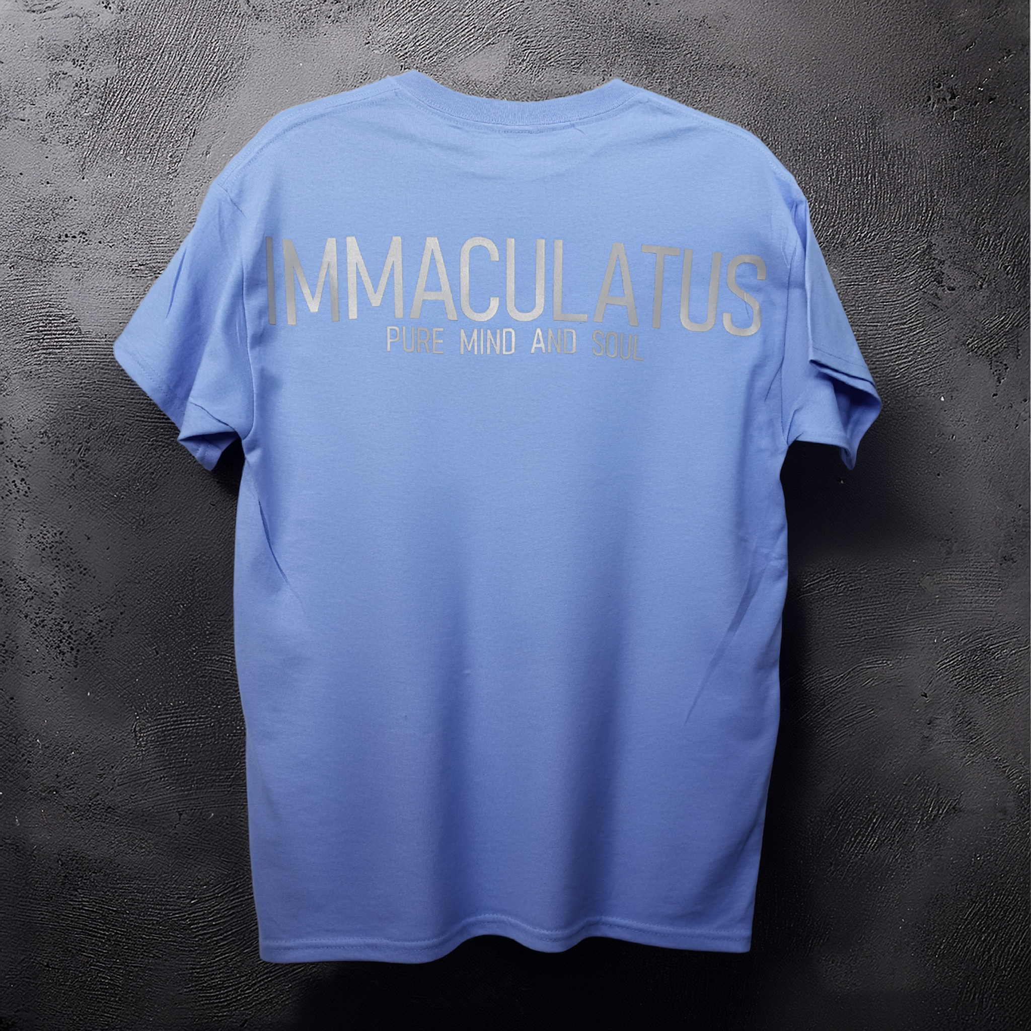Workout T-Shirt Immaculatus Blue